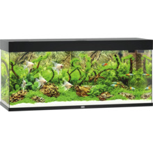 Akváriový set Juwel Rio 240 LED čierny 240 l