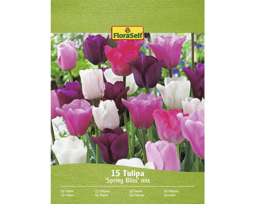 FloraSelf Tulipán Spring Bliss Mix, balenie 15 kusov