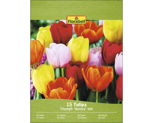 Balenie tulipánov Triumph Aurora Mix s 15 kusmi