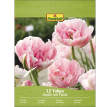Balenie tulipánových cibuliek odrody Double Late Finola