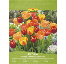 Balenie FloraSelf 15 Tulipa Triumph ''Monet''s Garden'' mix