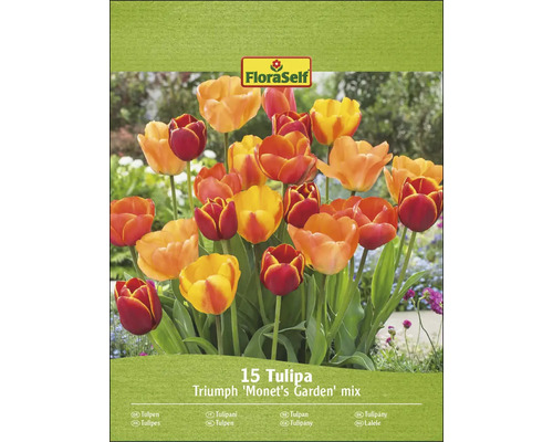 Balenie FloraSelf 15 Tulipa Triumph ''Monet''s Garden'' mix