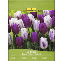 Balenie tulipánov Mosaic Mix s 15 tulipánmi
