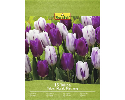 Balenie tulipánov Mosaic Mix s 15 tulipánmi