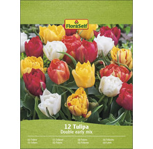 FloraSelf Tulipány Double Early Mix, balenie dvanástich cibuliek