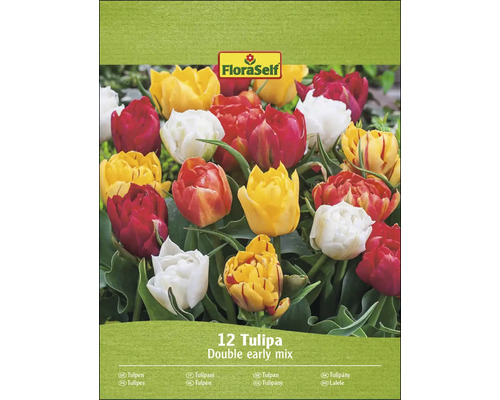 FloraSelf Tulipány Double Early Mix, balenie dvanástich cibuliek