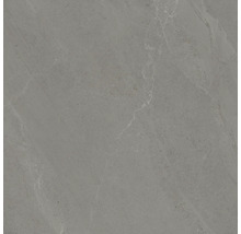 Sivá dlažba z jemnej kameniny so vzhľadom kameňa