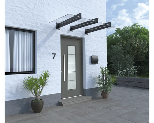 Vstupný priestor domu s vchodovými dverami, strieškou a rastlinami