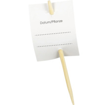 Drevená rastlinná menovka s poľom na dátum a názov rastliny