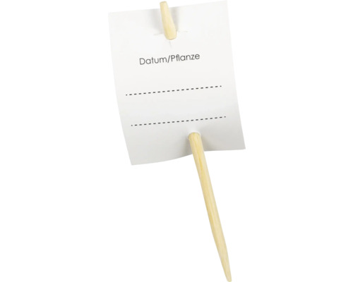 Drevená rastlinná menovka s poľom na dátum a názov rastliny