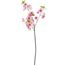 Dekoratívna vetva čerešňového kvetu s ružovými kvetmi a zelenými listami.
