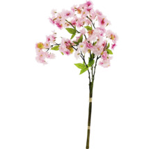 Dekoratívna vetva čerešňového kvetu