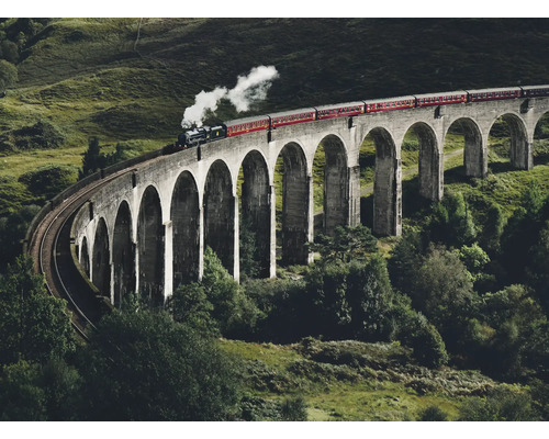 Vlak prechádza cez viadukt Glenfinnan, železničný most v Škótsku.