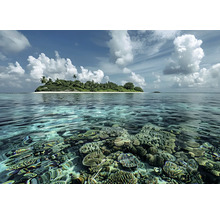 Tropický ostrov s koralovým útesom v tyrkysovej vode