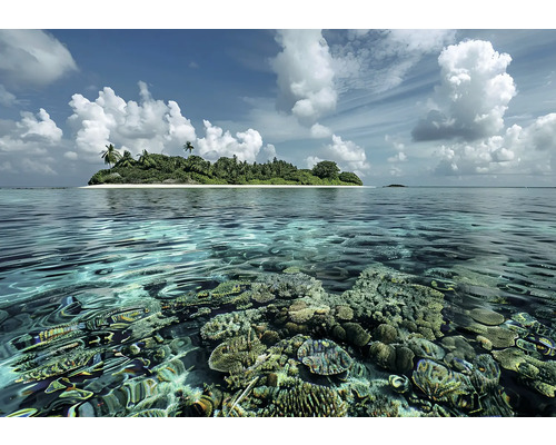 Obraz Decopanel Treasure island 136x98cm Tropický ostrov s koralovým útesom v tyrkysovej vode