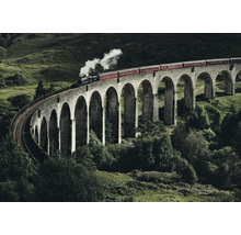 Vlak prechádza cez kamenný viadukt v zelenej krajine.