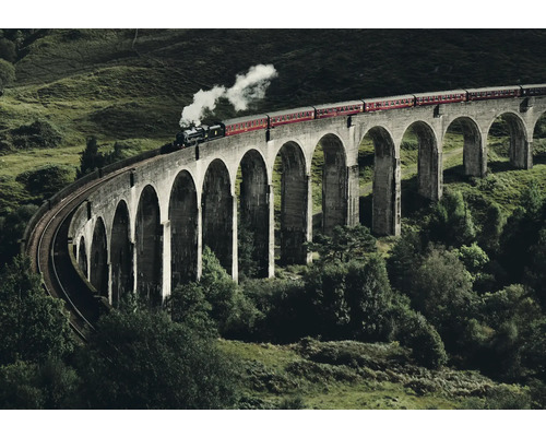 Obraz Decopanel Train on the bridge 136x98cm Vlak prechádza cez kamenný viadukt v zelenej krajine.