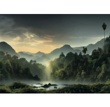 Krajina s horami, džungľou a riekou