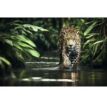 Jaguar prechádza riekou v džungli