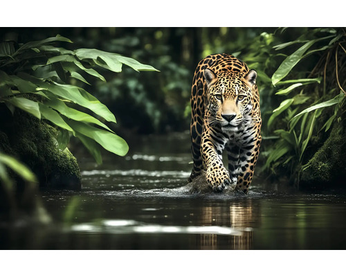 Obraz Decopanel Jaguar lurking 90x58cm Jaguar prechádza riekou v džungli