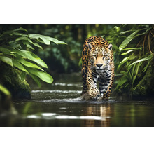 Jaguar sa brodí riekou, obklopený bujnou zeleňou.