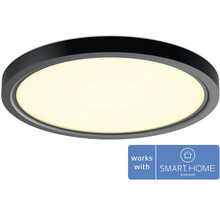 Guľaté stropné svietidlo s funkciou Smart Home