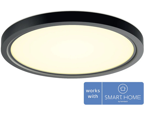 LED stropné svietidlo Philips HUE 8720169330610 16,6 W 1160 lm 2200-6500 K čierne - kompatibilné so SMART HOME by hornbach Guľaté stropné svietidlo s funkciou Smart Home