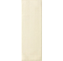 Vzor dlaždíc s rybie kosťou