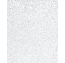 Detail steny s omietkovou štruktúrou