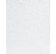 Detail steny s omietkovou štruktúrou