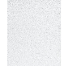 Detail bielej omietky