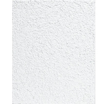 Detail bieleho omietnutého povrchu