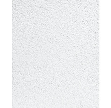 Detail steny s hrubou omietkou