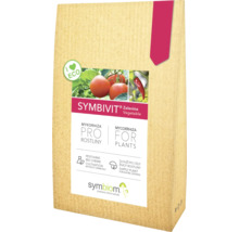 Symbiom Symbivit Zelenina Vegetable Mykorhiza pre rastliny
