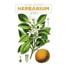 Herbárium 2026 Vintage plagát s kvetmi, listami a plodmi
