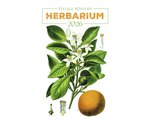 Herbárium 2026 Vintage plagát s kvetmi, listami a plodmi