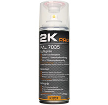 2K Pro lak v spreji RAL 7035 svetlosivá