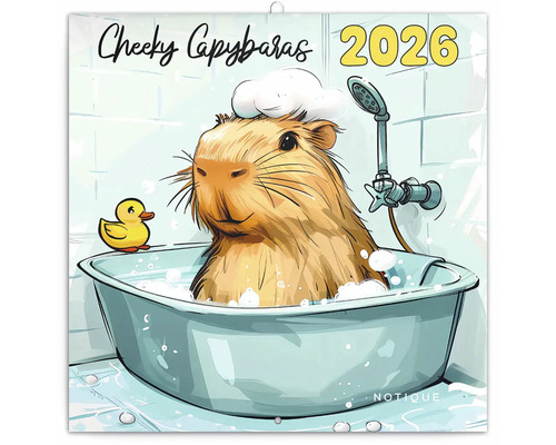 Nástenný kalendár Cheeky Capybaras 2026 s kapybarou vo vani