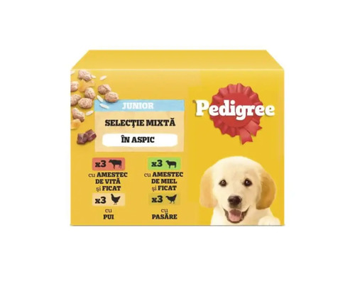 Pedigree Junior Miešaný výber v aspiku pre mladé psy