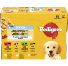 Pedigree Junior krmivo pre psov, zmes s ryžou