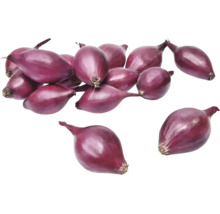 Červená cibuľa