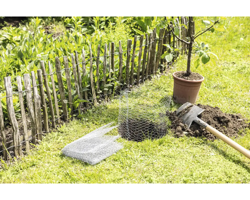 Záhradná scéna s latkovým plotom, rýľom, drôteným pletivom a stromom v kvetináči