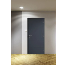 Sivé interiérové dvere s vodorovnými líniami vedľa skrine