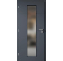 Vchodové dvere so sklenenou vložkou a nerezovou kľučkou