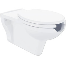 Závesný hlbokosplachovací záchod s WC sedadlom