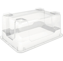 Priehľadný box s vekom
