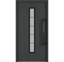 Vchodové dvere so sklenenou vložkou a držadlom