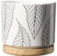 Kvetináč s dekorom listov a podšálkou