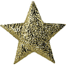 Trblietavá hviezda na dekoráciu