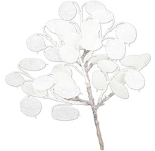 Dekoratívna vetva s okrúhlymi listami